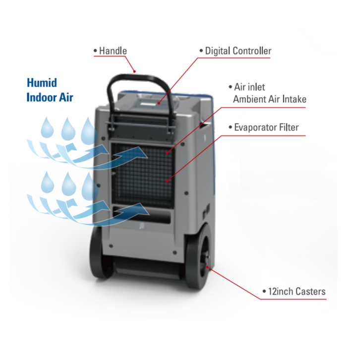 Rear view of a blue and gray Airrex dehumidifier ADH-8000 showing the handle, digital controller, air inlet, evaporator filter, and 12-inch casters.